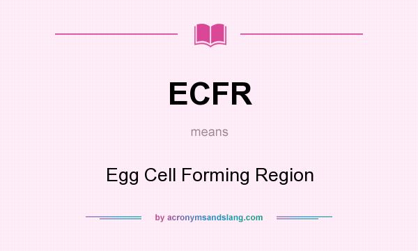 What does ECFR mean? It stands for Egg Cell Forming Region
