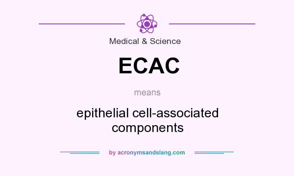 What does ECAC mean? It stands for epithelial cell-associated components