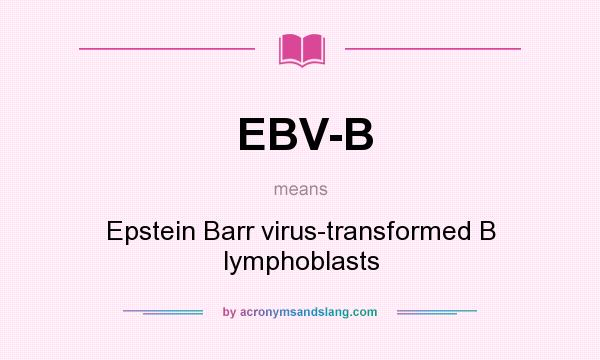 What does EBV-B mean? It stands for Epstein Barr virus-transformed B lymphoblasts
