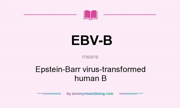 What does EBV-B mean? It stands for Epstein-Barr virus-transformed human B