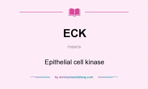 What does ECK mean? It stands for Epithelial cell kinase