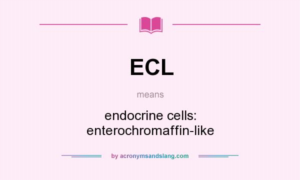 What does ECL mean? It stands for endocrine cells: enterochromaffin-like