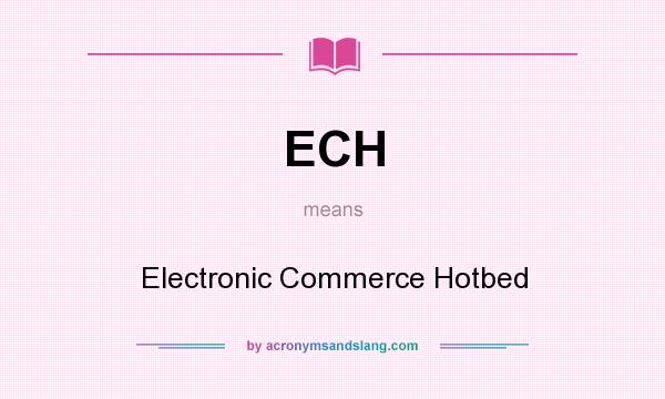 What does ECH mean? It stands for Electronic Commerce Hotbed