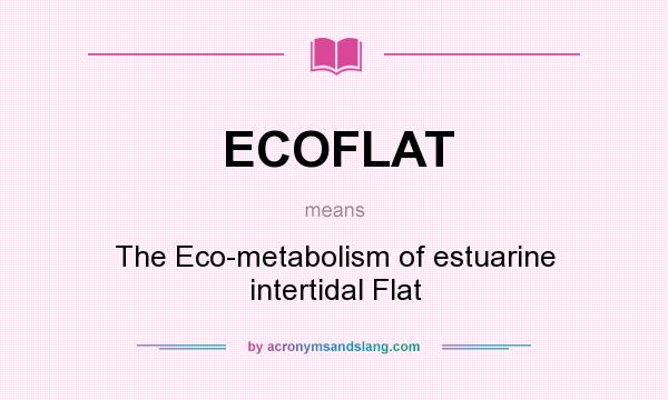 What does ECOFLAT mean? It stands for The Eco-metabolism of estuarine intertidal Flat