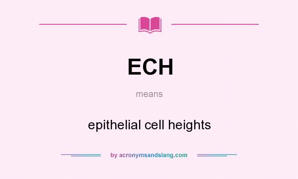 What does ECH mean? It stands for epithelial cell heights