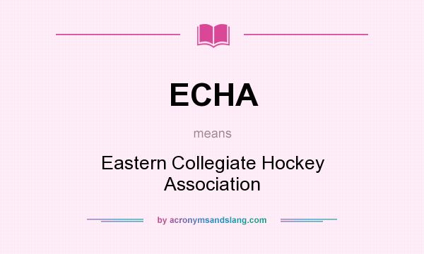 What does ECHA mean? It stands for Eastern Collegiate Hockey Association