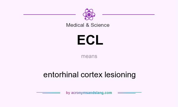 What does ECL mean? It stands for entorhinal cortex lesioning
