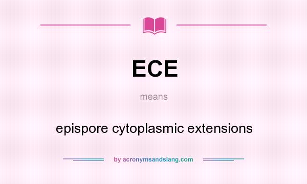 What does ECE mean? It stands for epispore cytoplasmic extensions
