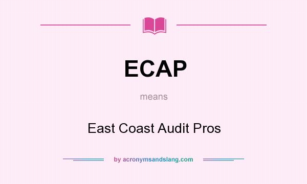 What does ECAP mean? It stands for East Coast Audit Pros