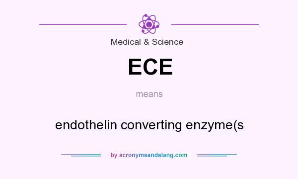 What does ECE mean? It stands for endothelin converting enzyme(s