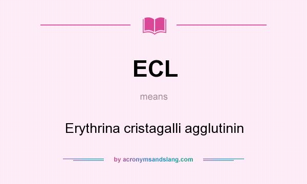 What does ECL mean? It stands for Erythrina cristagalli agglutinin
