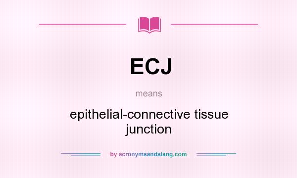 What does ECJ mean? It stands for epithelial-connective tissue junction