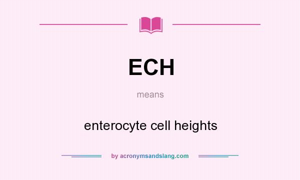 What does ECH mean? It stands for enterocyte cell heights