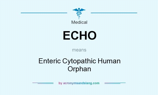 What does ECHO mean? It stands for Enteric Cytopathic Human Orphan
