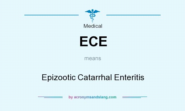 What does ECE mean? It stands for Epizootic Catarrhal Enteritis