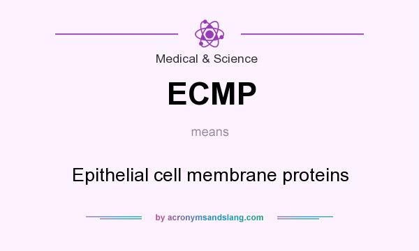 What does ECMP mean? It stands for Epithelial cell membrane proteins