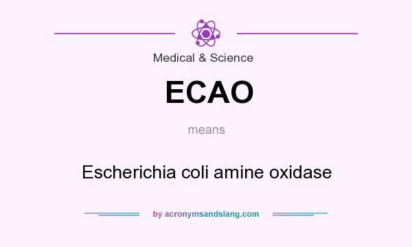 What does ECAO mean? It stands for Escherichia coli amine oxidase