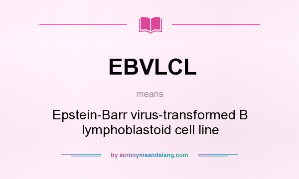 What does EBVLCL mean? It stands for Epstein-Barr virus-transformed B lymphoblastoid cell line