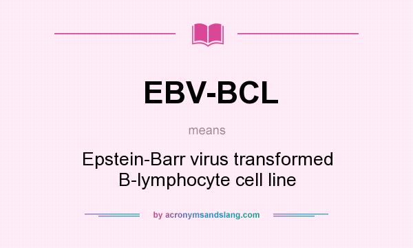 What does EBV-BCL mean? It stands for Epstein-Barr virus transformed B-lymphocyte cell line
