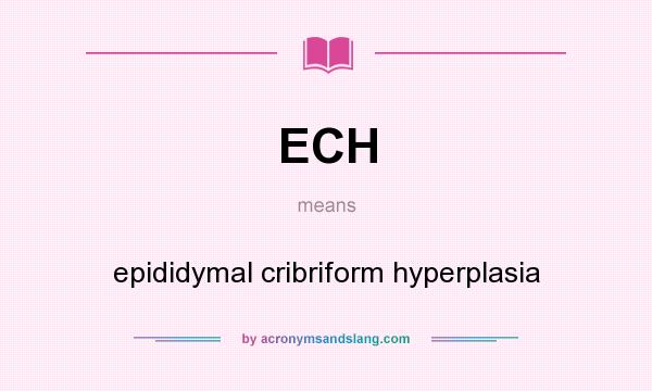 What does ECH mean? It stands for epididymal cribriform hyperplasia