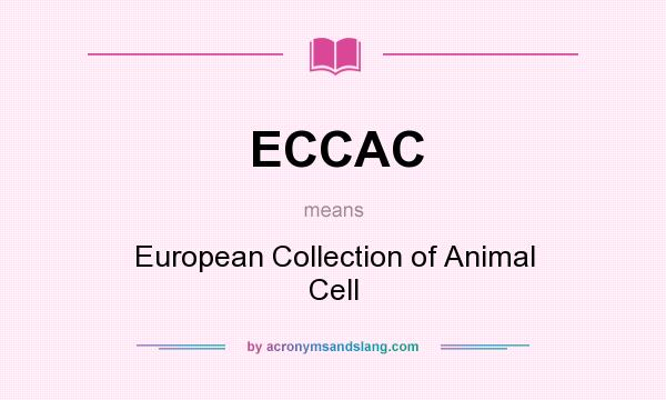 What does ECCAC mean? It stands for European Collection of Animal Cell
