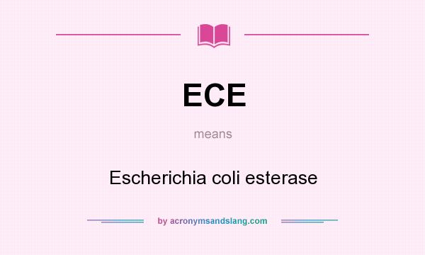 What does ECE mean? It stands for Escherichia coli esterase