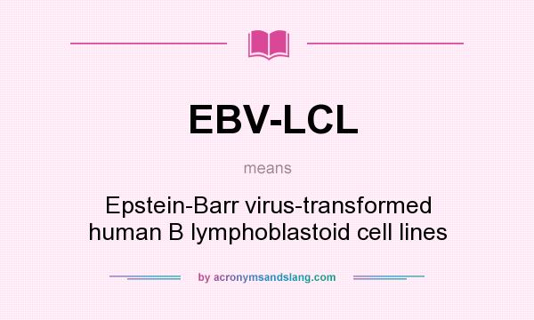 What does EBV-LCL mean? It stands for Epstein-Barr virus-transformed human B lymphoblastoid cell lines