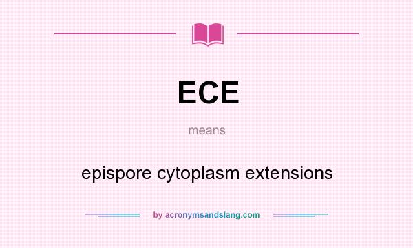 What does ECE mean? It stands for epispore cytoplasm extensions