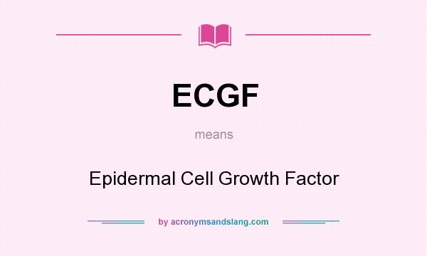 What does ECGF mean? It stands for Epidermal Cell Growth Factor