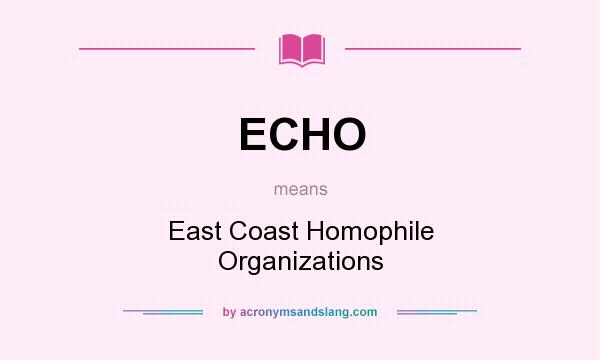 What does ECHO mean? It stands for East Coast Homophile Organizations