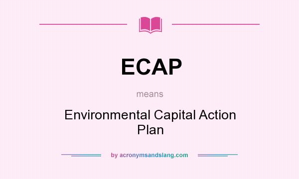 What does ECAP mean? It stands for Environmental Capital Action Plan