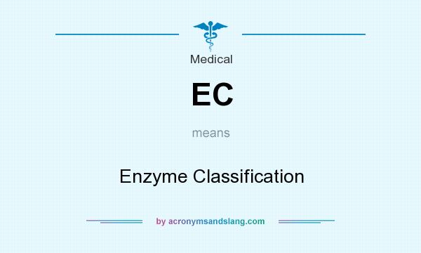 What does EC mean? It stands for Enzyme Classification
