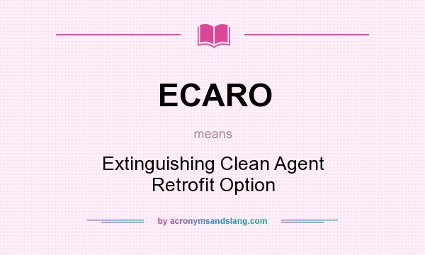 What does ECARO mean? It stands for Extinguishing Clean Agent Retrofit Option