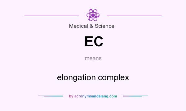 What does EC mean? It stands for elongation complex