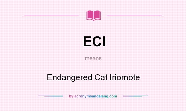 What does ECI mean? It stands for Endangered Cat Iriomote