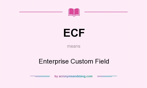What does ECF mean? It stands for Enterprise Custom Field