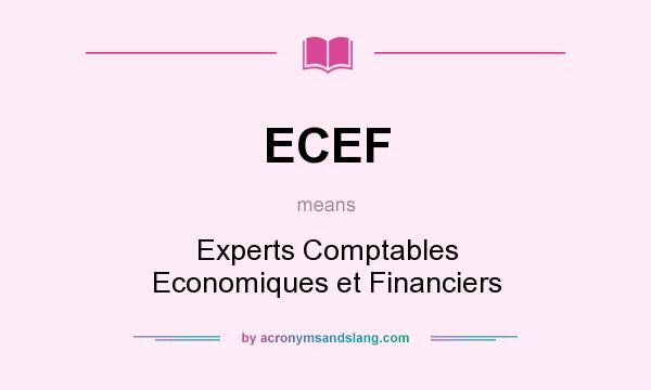 What does ECEF mean? It stands for Experts Comptables Economiques et Financiers