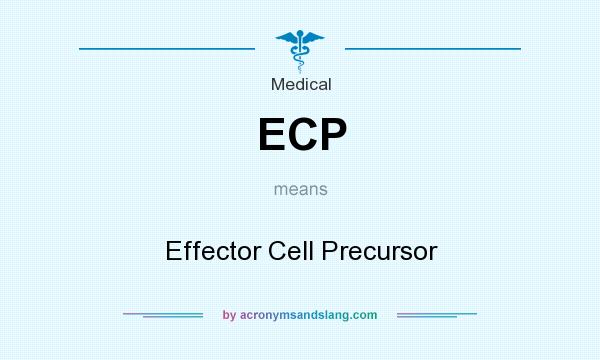 What does ECP mean? It stands for Effector Cell Precursor