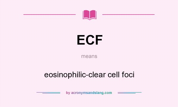 What does ECF mean? It stands for eosinophilic-clear cell foci