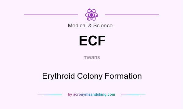 What does ECF mean? It stands for Erythroid Colony Formation