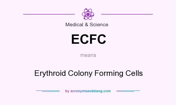 What does ECFC mean? It stands for Erythroid Colony Forming Cells