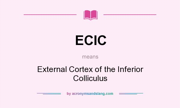 What does ECIC mean? It stands for External Cortex of the Inferior Colliculus