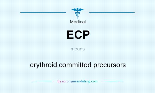What does ECP mean? It stands for erythroid committed precursors