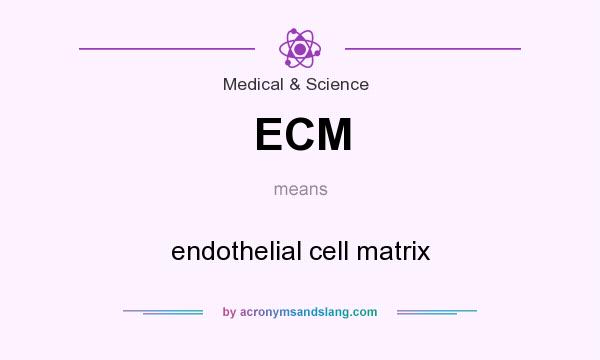 What does ECM mean? It stands for endothelial cell matrix
