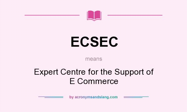 What does ECSEC mean? It stands for Expert Centre for the Support of E Commerce