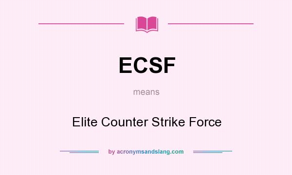 What does ECSF mean? It stands for Elite Counter Strike Force