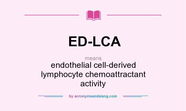 What does ED-LCA mean? It stands for endothelial cell-derived lymphocyte chemoattractant activity