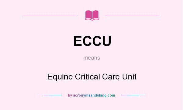 What does ECCU mean? It stands for Equine Critical Care Unit