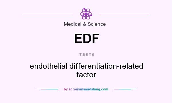 What does EDF mean? It stands for endothelial differentiation-related factor