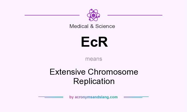 What does EcR mean? It stands for Extensive Chromosome Replication